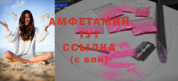 гидра Рославль