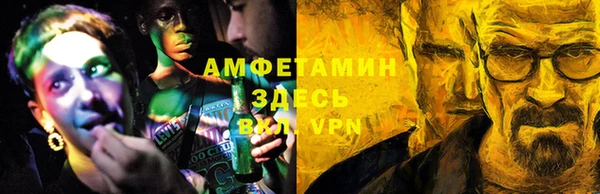гидра Рославль