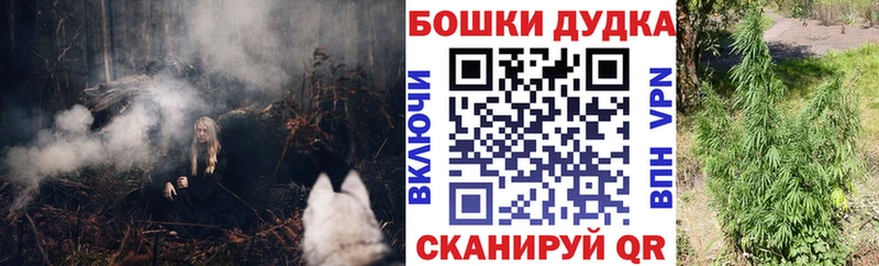 Бошки Шишки сатива  где можно купить наркотик  Яранск 